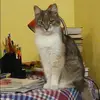 Отзыв от Ева Короткова